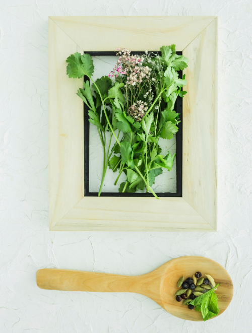 Herbal plants ready for export